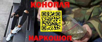 мдпв Бийск