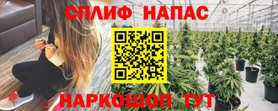 мдпв Бийск