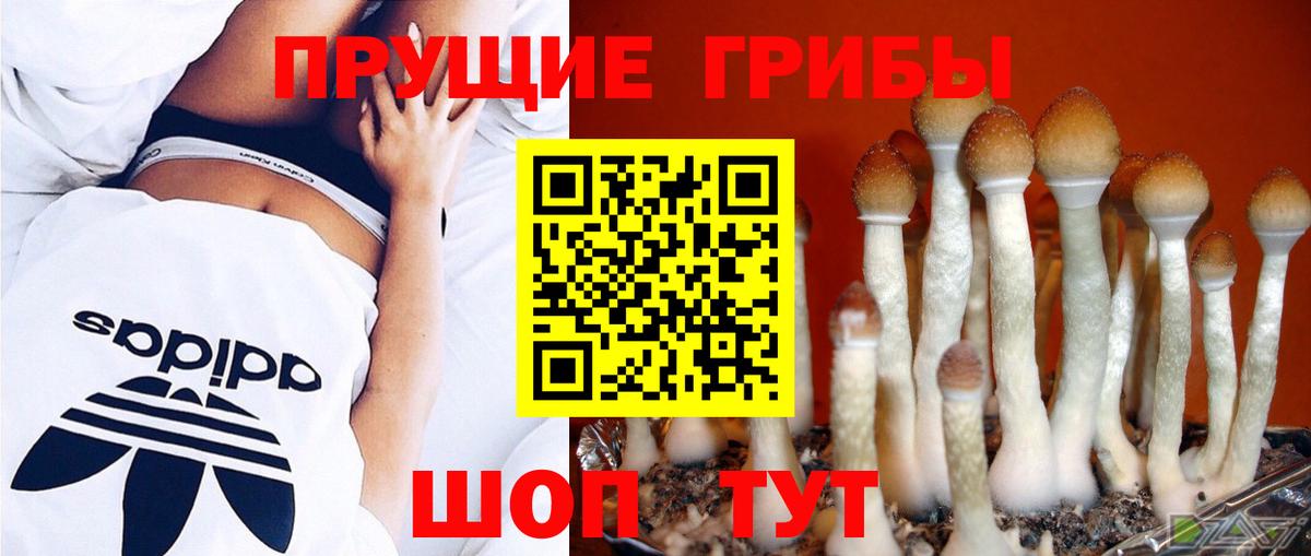 Псилоцибиновые грибы Ишим