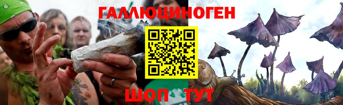 Псилоцибиновые грибы прущие грибы Ишим