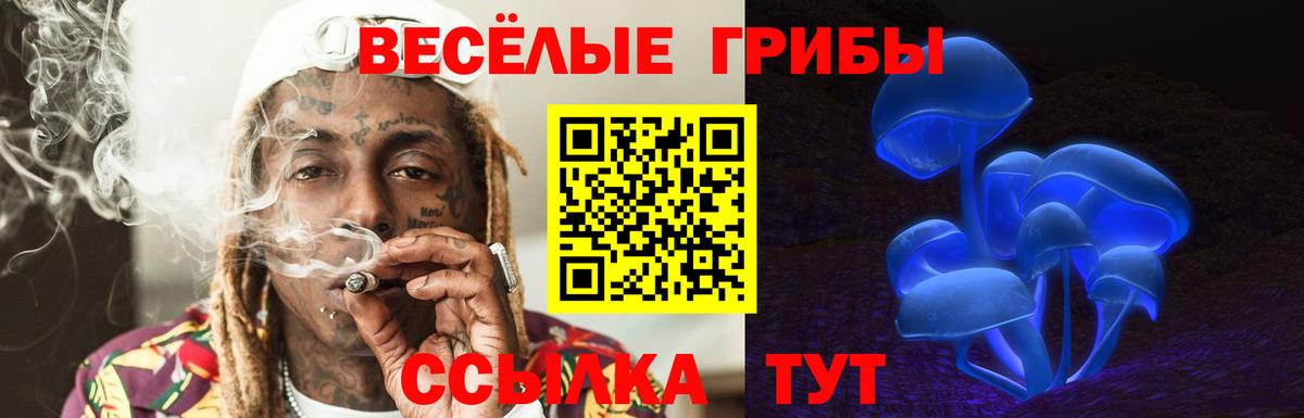 Псилоцибиновые грибы мухоморы  Галлюциногенные грибы Magic Shrooms  Вход с VPN  Ишим 