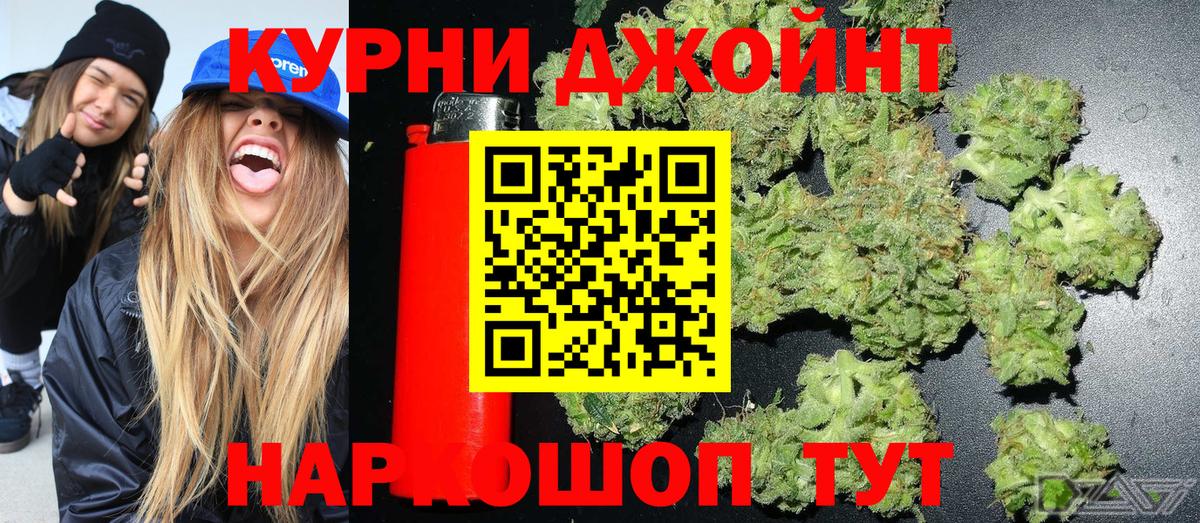 Ишим  Бошки марихуана Amnesia  Бошки марихуана White Widow  Конопля White Widow  Каннабис сатива  Вход с VPN 